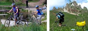 info-mountain-bike