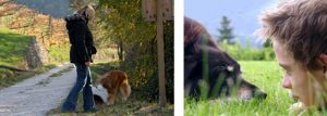 info-vacances-avec-son-chien